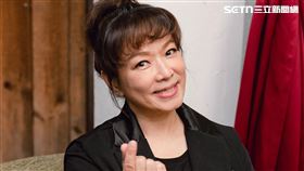 趙詠華感嘆陪伴著自己16年的愛貓罹癌逝世。（圖／資料照）