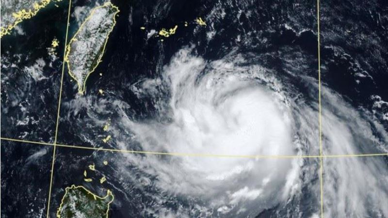 鄭明典:楊柳可能不會被中央山脈破壞太多