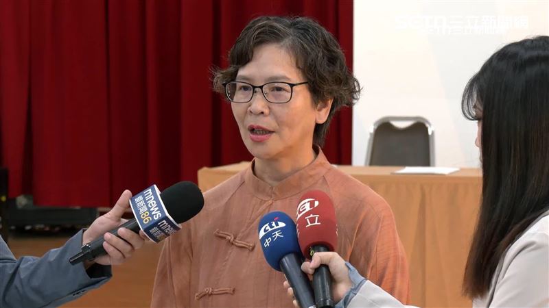 「非綠大聯盟」合作模式疑似有蔡壁如介入。（圖／翻攝畫面）