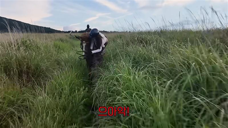 《少女時代》俞利騎馬摔倒。(圖/翻攝自YT권유리)