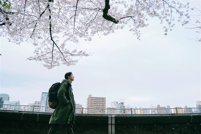 許光漢一退伍 全球票房5億票房《青春18x2 通往有你的旅程》藍光上市。(圖/得利影視提供)