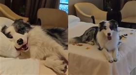 ▲（圖／翻攝自微博）