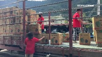 獨／憂路斷放著爛　仁愛鄉40車急運出蔬果