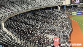 ▲樂天大巨蛋僅9674人進場。（圖／記者黃耿誼攝影）