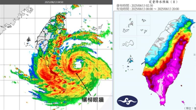 楊柳開眼了　吳德榮：防16級毀壞性強陣風