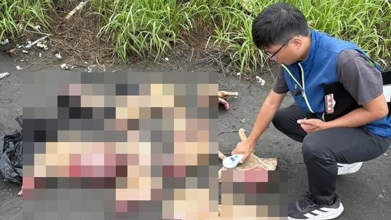 每公斤400元!無主流浪狗遭屠宰…慘照曝