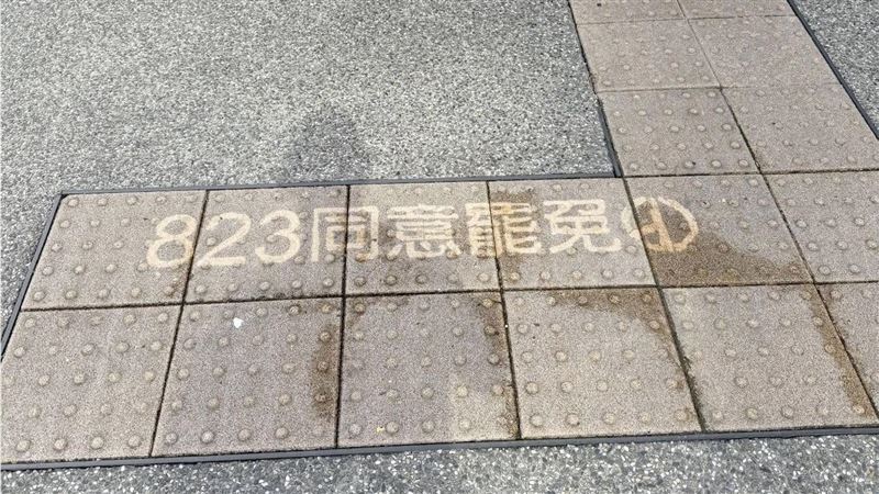 高壓水槍洗導盲磚挺罷免 小草怒轟遭打臉