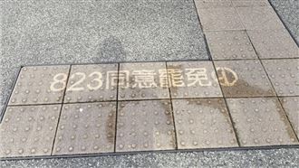 高壓水槍洗導盲磚挺罷免　小草怒轟遭打臉
