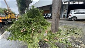 高雄市,高雄,仁武區,樹木,楊柳,設備,台電,停電,颱風▲圖片描述。（圖／翻攝畫面）