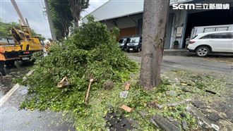 中颱「楊柳」來襲！高雄4738戶停電原因曝