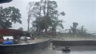 楊柳颱風襲台！台東太麻里車站路樹被吹斷