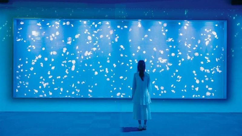台中海洋館將於8月21日試營運。（圖／台中海洋館提供）