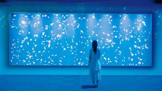 票價太貴被罵翻！台中海洋館票房慘兮兮