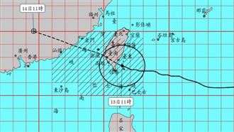 楊柳估下午1時登陸台東　2地吹出17級狂風