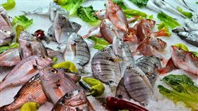 魚,市場,海鮮。（示意圖／PIXABAY）