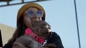 最醜狗狗冠軍「牠」贏16.5萬　身世藏洋蔥