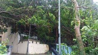 恐怖！4學生夜遊見屍懸空…他死跟錢有關