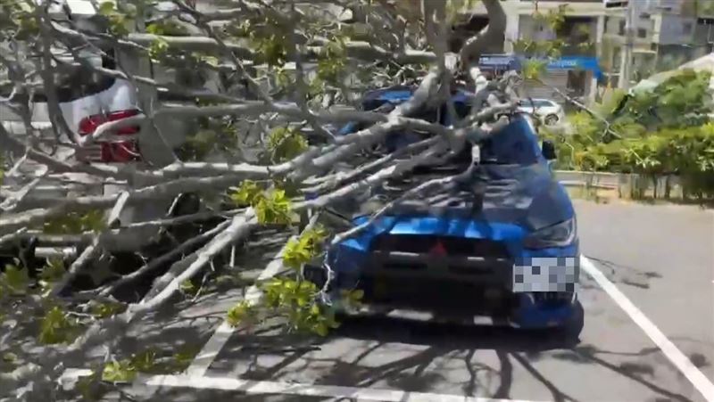 有轎車車頂被壓凹，車尾加裝部分也被樹幹砸毀。(圖／翻攝畫面)