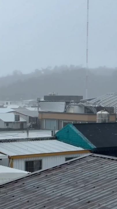 17級陣風讓鐵皮屋整片從90度變躺平,被吹掀後掉落街道。(圖/翻攝畫面)