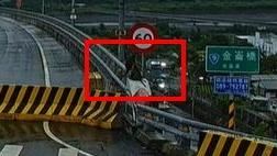 楊柳颱風來襲　金崙橋現「猴猴家族」看海