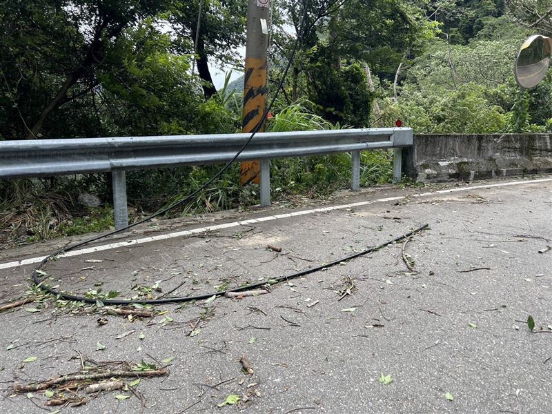 梨山地區多處路樹倒塌扯斷供電線。(圖/翻攝畫面)