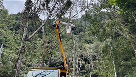 台中梨山4680戶停電！台電人員遇管制通行　決定摸黑繞路推進搶修