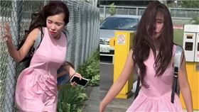 中颱楊柳,味全龍,啦啦隊,李多慧,颱風（翻攝自李多慧threads）