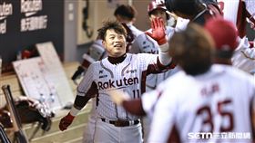 ▲中職36年例行賽，樂天桃猿指定打擊林泓育炸裂3分砲。（圖／記者劉彥池攝影）