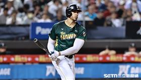 ▲中職36年例行賽，台鋼雄鷹指定打擊魔鷹敲出安打。（圖／記者劉彥池攝影）