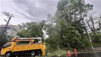 楊柳釀「南部破5萬戶停電」2縣市衝擊最重