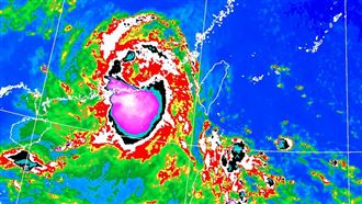 楊柳警報48小時解決　粉專驚：歷年前幾短