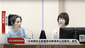 徐巧芯質詢。（圖／翻攝自國會頻道） 