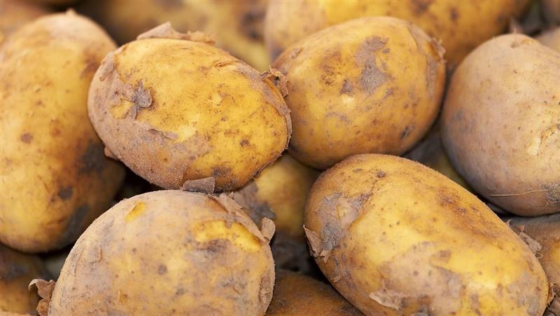 馬鈴薯害血糖飆？研究:1地雷吃法變高血脂