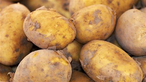 教授1家4口竟遭「馬鈴薯」滅門！女童目睹