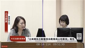 民進黨立委羅美玲8月14日在外交委員會質詢經貿辦台美關稅細節。（圖／翻攝國會頻道）