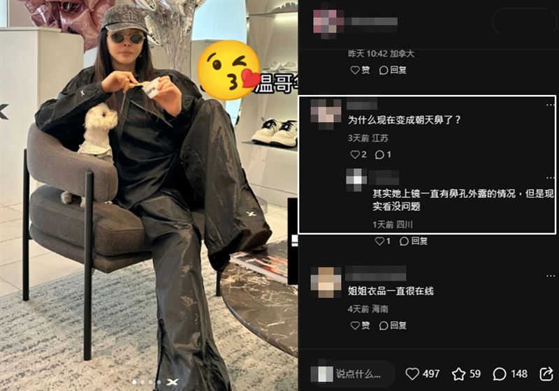 王祖賢驚變朝天鼻？（圖／翻攝自小紅書）