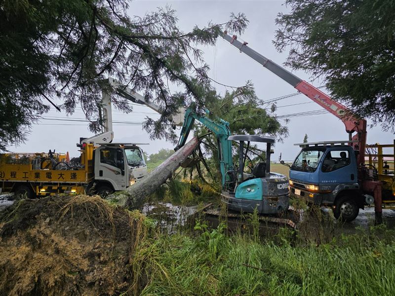 梨山地區多處路樹倒塌毀損供電線路。（圖／翻攝畫面）