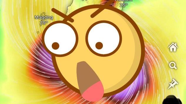 楊柳登陸變「超害羞」形狀　紅到國外去