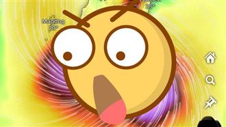 楊柳登陸變「超害羞」形狀　紅到國外去