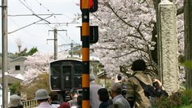 陶山神社已有367年歷史，是當地知名景點，這座神社最獨特之處在於鳥居、石燈籠等建築多以有田燒瓷器打造，與一般木造、石造的神社截然不同。由於有田町是日本陶瓷重鎮，這裡的瓷器元素象徵著地方產業的榮耀，也吸引了大批旅客慕名前來。（圖／翻攝日本佐賀縣有田町陶山神社官網）