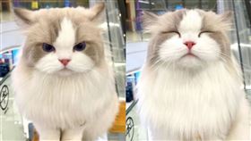 。（圖／翻攝自微博）