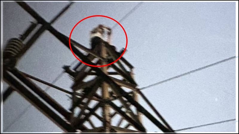 謝男坐在高壓電塔上幫尚女拍照，卻成最後身影。（圖／翻攝畫面）