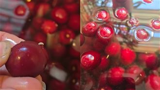 櫻桃泡醋見白蟲鑽出　專家曝1方法安心吃