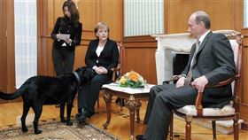 梅克爾看穿川普、普丁2人，他們「專制、強勢、巧變」性格相吸。圖為 梅克爾課拜會普丁時，普丁明知道梅克爾怕狗，刻意放愛犬出來亂。（圖／天化文化提供） 