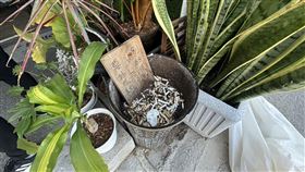 檢舉,獎勵金,違規,新竹市（圖／新竹市政府提供）