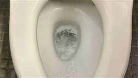 日本,可沖馬桶,馬桶,TOTO,濕紙巾（示意圖，photoAC）