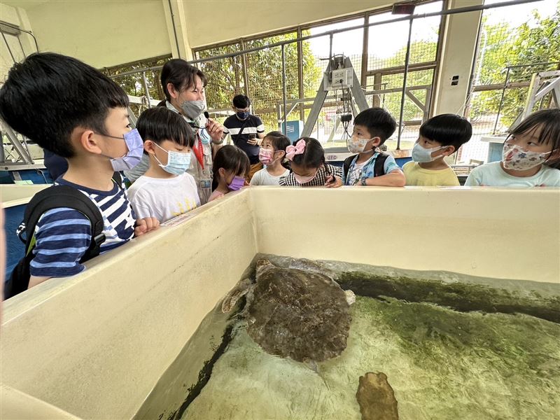 夜宿限定行程「後場揭密」民眾參觀海龜收容中心。（圖／屏東海生館提供）