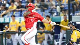 味全龍老將林智勝引退前，最後一次回洲際棒球場。（圖／翻攝自味全龍臉書）