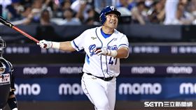 中職36年例行賽，富邦悍將指定打擊張進德。（圖／記者劉彥池攝影）