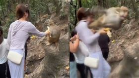 妹子拿香蕉逗猴子，結果被踹下山谷，導致腿部骨折。（圖／翻攝自微博）